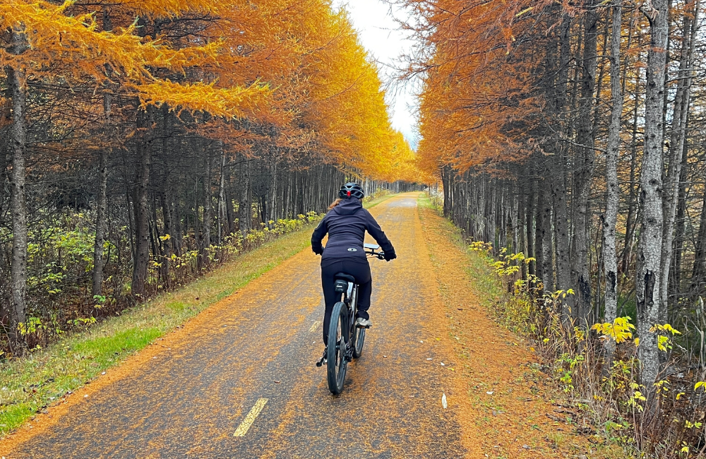 Destinos Para Fazer Cicloturismo e Explorar no Seu Ritmo