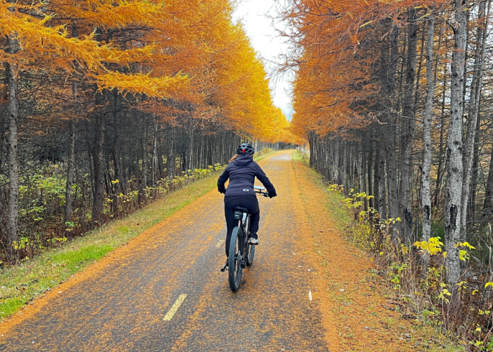 8 Rotas de Cicloturismo no Brasil que Valem a Pena | Foto: Canva